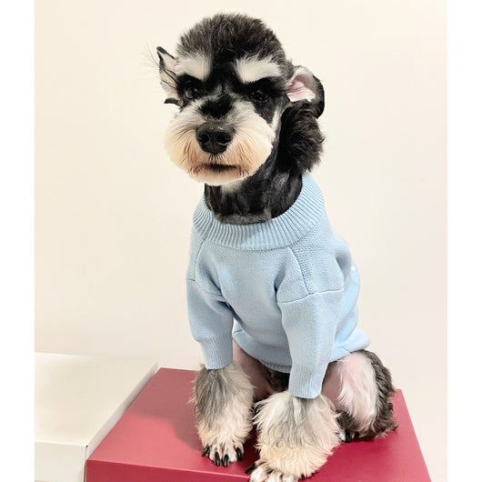 Doggo Winter Warm Designer Icy Sweater