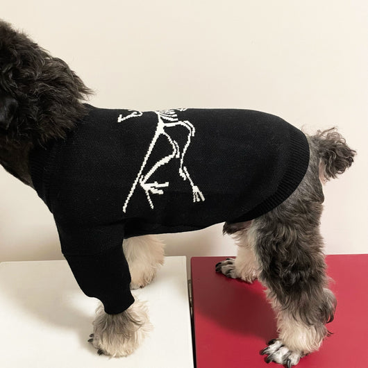 Doggo Winter Warm Designer Icy Sweater
