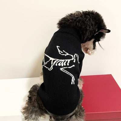Doggo Winter Warm Designer Icy Sweater