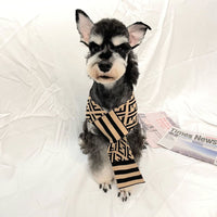 Swaggy Tails Furry Classy Clean Scarf