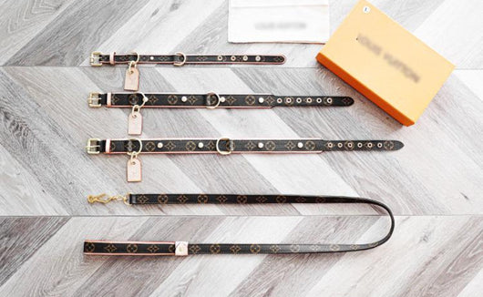 Amelia Only Loaded Leash