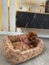 🛏️ LV Soft Dog Adorable Bed
