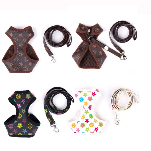 Amarillis Harness And Lo-fi Leash