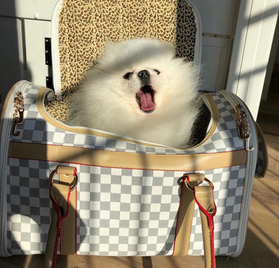 Luxina Carrier Airline Moody Bag