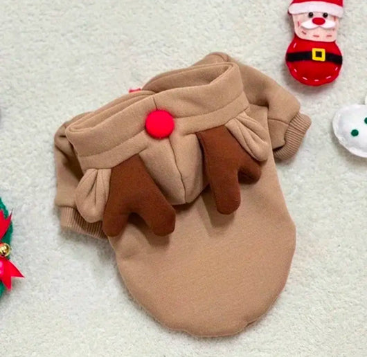 Cuty Reindeer Amped Sweater