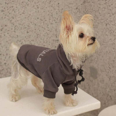 Cream Grey Designer Dog  Hoodies