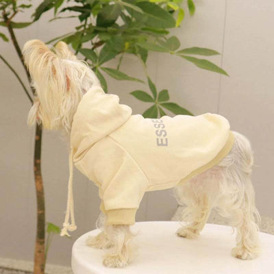 Cream Grey Designer Dog  Hoodies