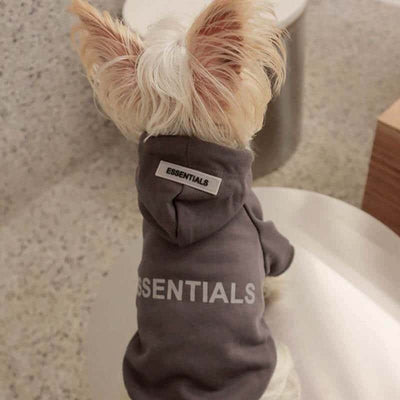 Cream Grey Designer Dog  Hoodies
