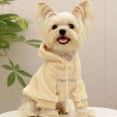 Cream Grey Designer Dog  Hoodies