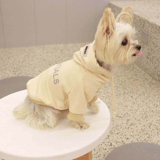 Cream Grey Designer Dog  Hoodies