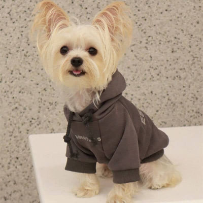 Cream Grey Designer Dog  Hoodies