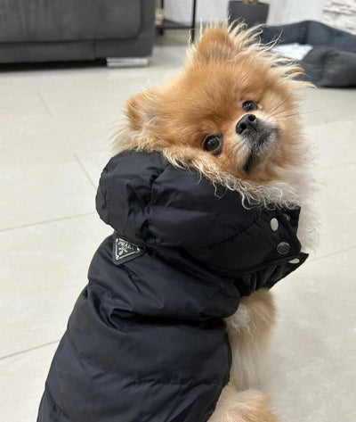 Luxury Prina Lo-fi Vest