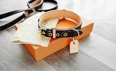 Amelia Only Next Collar