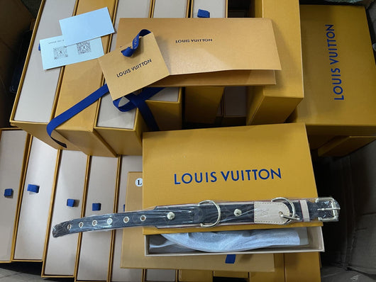 Amelia Dog Collar & Backspin Leash