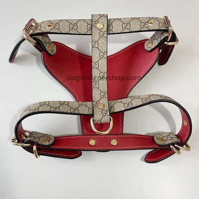 GG Hero Classic Harness& Leash Layered Set