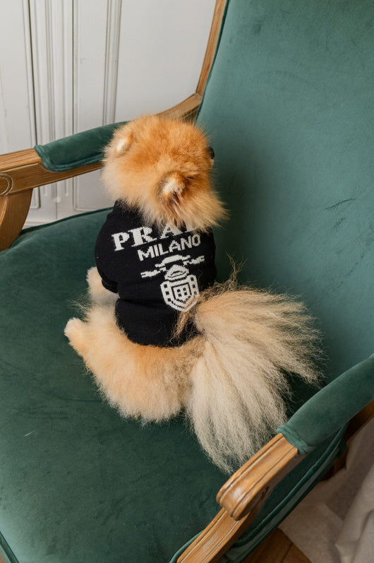 Prada Classic Sleek Sweater