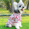 Big Dog Cool Summer Shirts