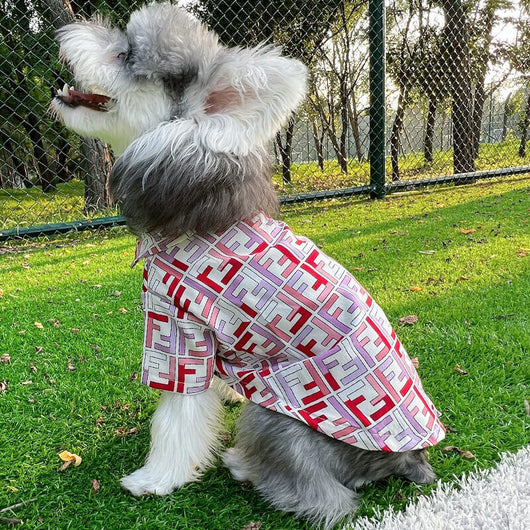 Big Dog Cool Summer Shirts