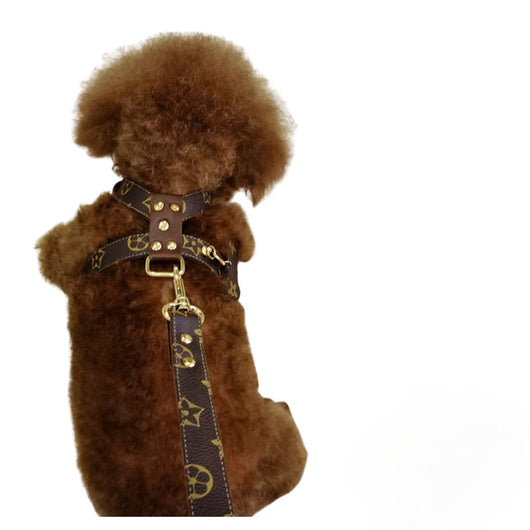 Dina Harness & Leash Backspin Set