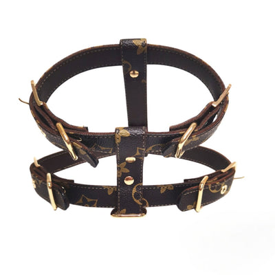 Dina Harness & Leash Backspin Set