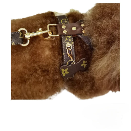 Dina Harness & Leash Backspin Set