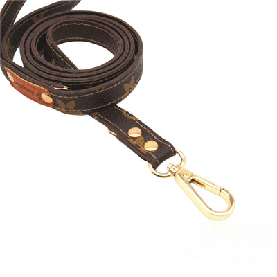 Dina Harness & Leash Backspin Set