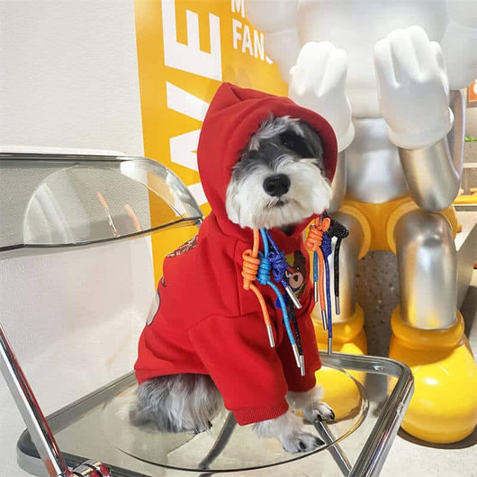 Red  Whimsical Clothes For Dogs