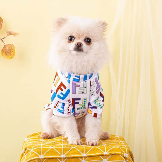 Small Dog Abstract Clothes