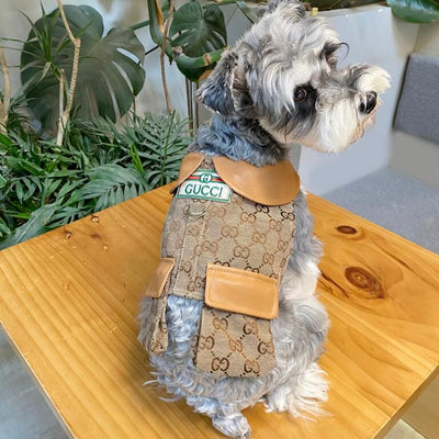 Designer Dog Coats With Crisp Harness