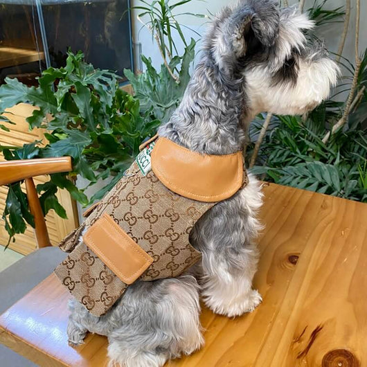 Designer Dog Coats With Crisp Harness