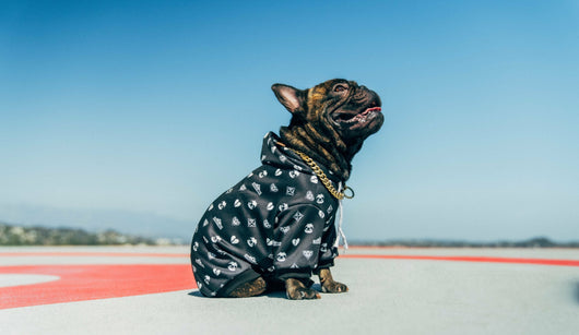 Doggy Blvd X Slothacid Collab Dope Hoodie