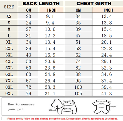 Big Dog Vibrant Shirts