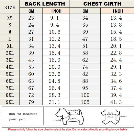 Big Dog Vibrant Shirts