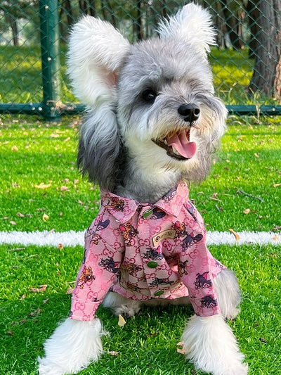 Big Dog Vibrant Shirts