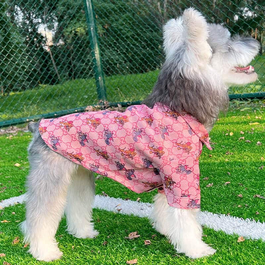 Big Dog Vibrant Shirts