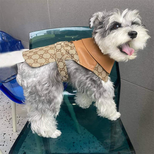 Classic Dog Cfrench Prime Dress