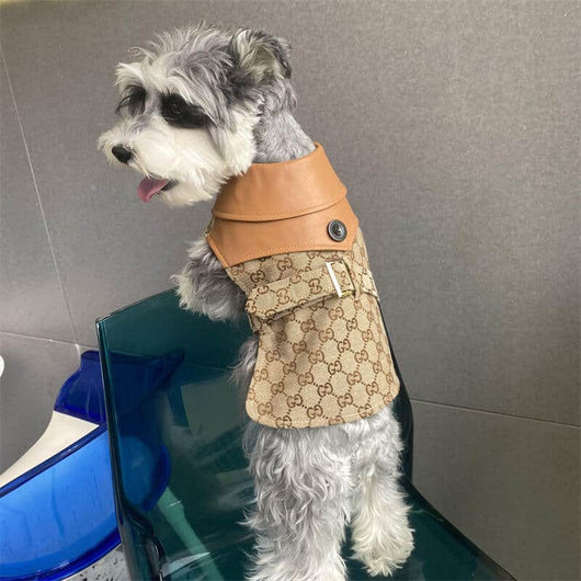 Classic Dog Cfrench Prime Dress