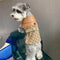 Classic Dog Cfrench Prime Dress