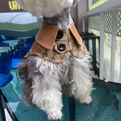 Classic Dog Cfrench Prime Dress