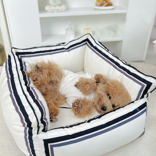 Unique CC Vibrant Bed