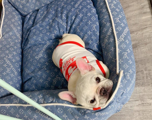 Luvina Deluxe Raw Bed