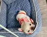 🛏️ Luvina Deluxe Raw Bed