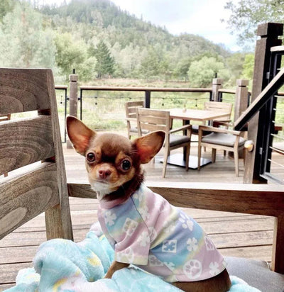 Pany Paws Iconic Tshirt