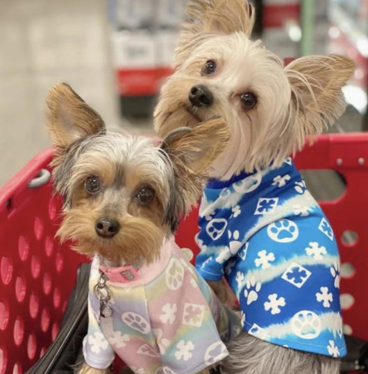 Pany Paws Posh Tshirt