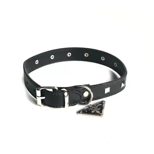 Paula Dog Collar Sleek Harness