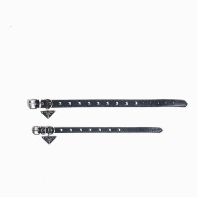 Paula Dog Collar Sleek Harness