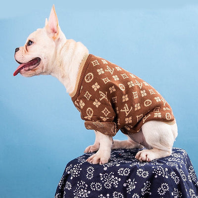 The Luxe Knit Vibrant Sweater