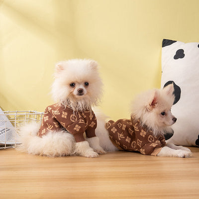 The Luxe Knit Vibrant Sweater