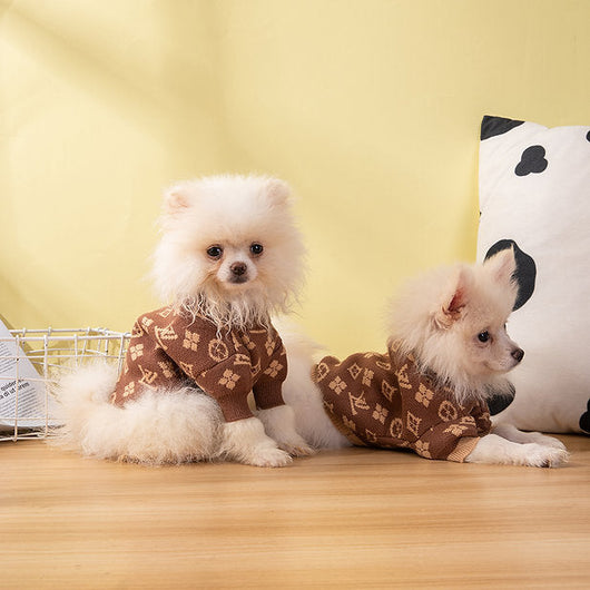 The Luxe Knit Vibrant Sweater