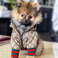 Zoi Dog Juiced Jacket